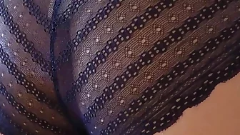 Asian Angel 20216